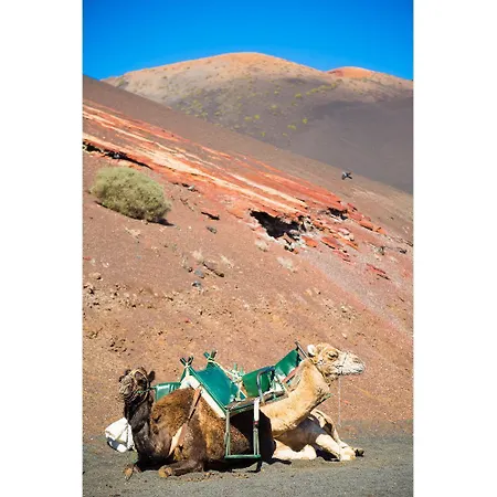 Casa Morro Blanco Villa Conil